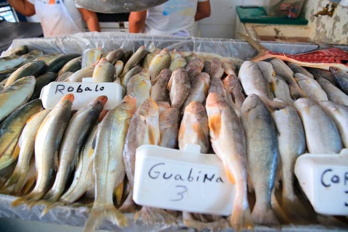 Róbalo, guabina y corvina son solo algunas de los productos del mar que se ofrecen. Róbalo, guabina y corvina son solo algunas de los productos del mar que se ofrecen.