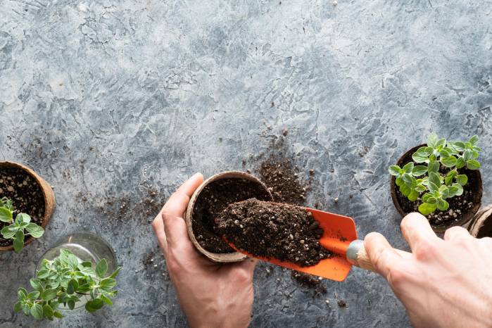 2. Aporta nutrición: Para lograr el crecimiento y cuidado correcto de las plantas, es importante utilizar productos que adhiera los nutrientes al suelo. Se aconseja utilizar una estructura con microorganismos que ayudará a captar dichos nutrientes para lograr porte y vigor en la planta. También se debe aportar materia orgánica como el compost de lombriz que ofrecerá un mayor cuidado y estructura de la planta. Las lombrices como tal también tienen su función en el jardín ya que descomponen la materia orgánica y proporcionan una mejor condición del suelo. 2. Aporta nutrición: Para lograr el crecimiento y cuidado correcto de las plantas, es importante utilizar productos que adhiera los nutrientes al suelo. Se aconseja utilizar una estructura con microorganismos que ayudará a captar dichos nutrientes para lograr porte y vigor en la planta. También se debe aportar materia orgánica como el compost de lombriz que ofrecerá un mayor cuidado y estructura de la planta. Las lombrices como tal también tienen su función en el jardín ya que descomponen la materia orgánica y proporcionan una mejor condición del suelo.