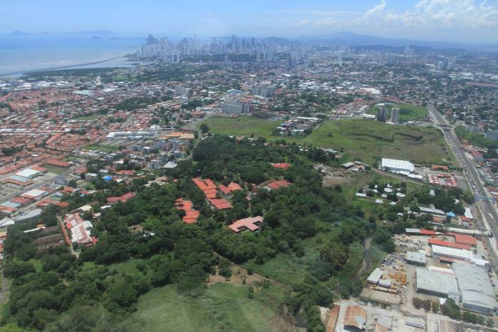 El área de Matías Hernández es una de las áreas verdes conservadas con mayor arbolado en la periferia urbana de la ciudad de Panamá al fondo. El área de Matías Hernández es una de las áreas verdes conservadas con mayor arbolado en la periferia urbana de la ciudad de Panamá al fondo.