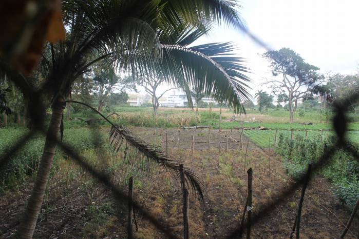 Escena del entorno ambiental de Matías Hernández en Río Abajo. Escena del entorno ambiental de Matías Hernández en Río Abajo.