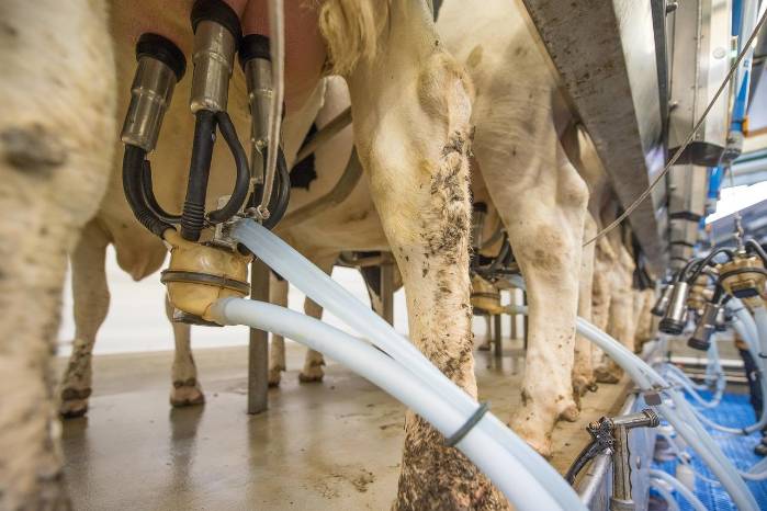 El congreso Congreso Panamericano de la Leche reúne al sector lechero de las Américas con miras a discutir los desafío y oportunidades de la industria. El congreso Congreso Panamericano de la Leche reúne al sector lechero de las Américas con miras a discutir los desafío y oportunidades de la industria.