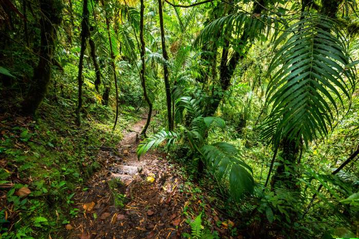 Medio ambiente y desarrollo en Panamá Medio ambiente y desarrollo en Panamá