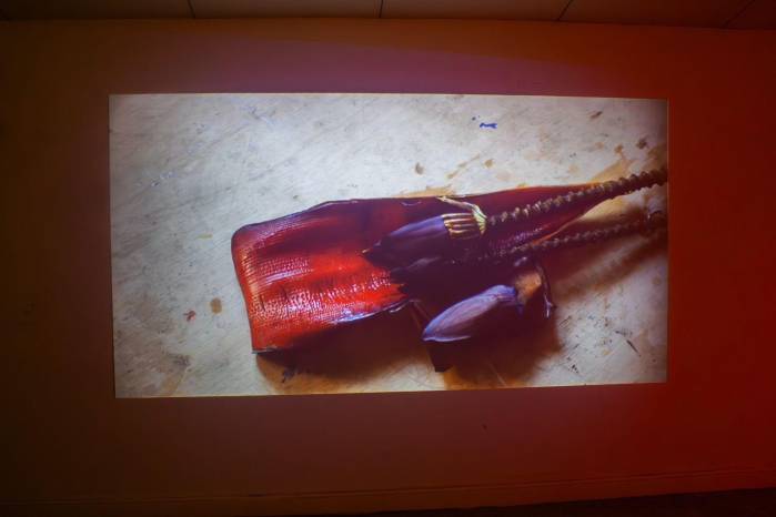 Esta exposición cuenta con la curaduría de Jennifer Choy del MAC, en colaboración con Tessa Maria Guazon Esta exposición cuenta con la curaduría de Jennifer Choy del MAC, en colaboración con Tessa Maria Guazon