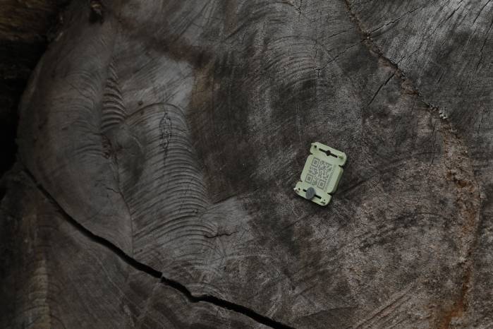 Este sistema permite rastrear la madera desde su extracción hasta su primera transformación, garantizando su origen legal. Este sistema permite rastrear la madera desde su extracción hasta su primera transformación, garantizando su origen legal.