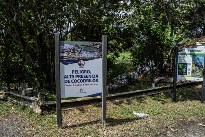 El lago artificial de Miraflores, ubicado en ciudad de Panamá, cuenta con letreros que advierten sobre la presencia de cocodrilos. El lago artificial de Miraflores, ubicado en ciudad de Panamá, cuenta con letreros que advierten sobre la presencia de cocodrilos.