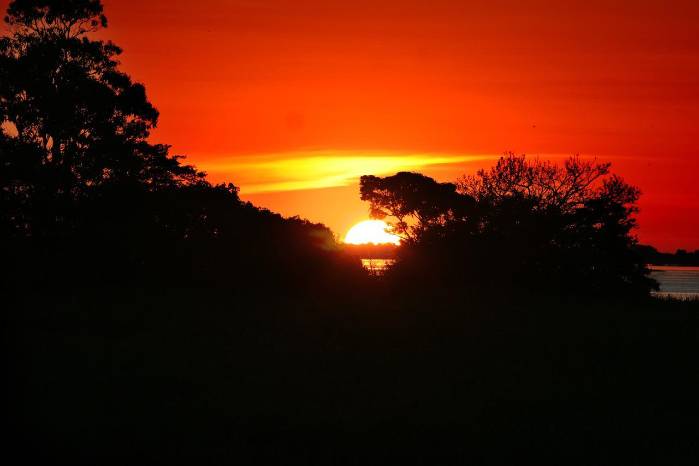 Atardecer en el bosque tropical del Amazonas | Pixabay Atardecer en el bosque tropical del Amazonas | Pixabay