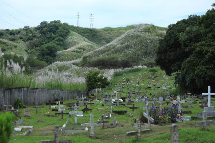 Entre montículos y cruces sin nombre, el cementerio de San Miguelito espera su renovación mientras las familias intentan saldar las deudas que garantiza el descanso digno de sus familiares. Entre montículos y cruces sin nombre, el cementerio de San Miguelito espera su renovación mientras las familias intentan saldar las deudas que garantiza el descanso digno de sus familiares.