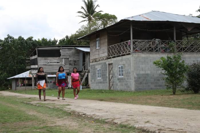 La comunidad Tortuga cuenta con 360 habitantes, organizados en 44 familias. La comunidad Tortuga cuenta con 360 habitantes, organizados en 44 familias.