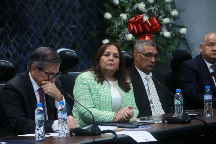 Oficialismo reafirma su dominio en la Comisión de Credenciales y Gobierno Oficialismo reafirma su dominio en la Comisión de Credenciales y Gobierno