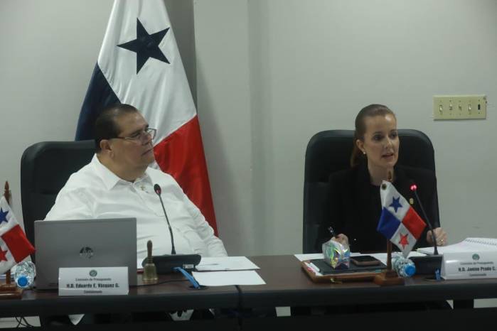 Diputados cuestionaron a los diputados del Tribunal Electoral. Diputados cuestionaron a los diputados del Tribunal Electoral.