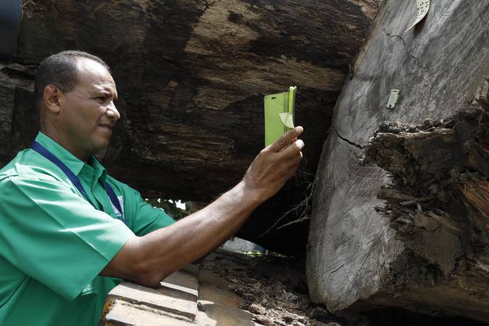 Panamá avanza hacia una gestión forestal más transparente con la implementación del Sistema de Trazabilidad y Control Forestal. Panamá avanza hacia una gestión forestal más transparente con la implementación del Sistema de Trazabilidad y Control Forestal.