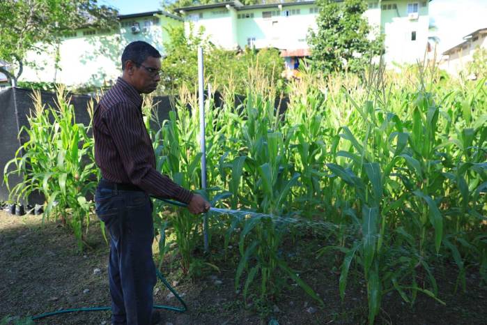 El proyecto planea su ampliación incluyendo frutas tropicales como pitayas, papayas y mangos. El proyecto planea su ampliación incluyendo frutas tropicales como pitayas, papayas y mangos.