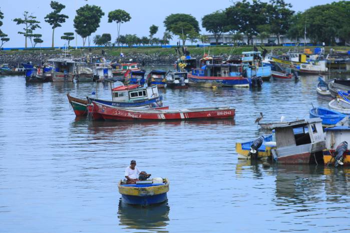 Las estrategias para contrarrestar la pesca ilegal es en cumplimiento de los compromisos internacionales asumidos por Panamá. Las estrategias para contrarrestar la pesca ilegal es en cumplimiento de los compromisos internacionales asumidos por Panamá.