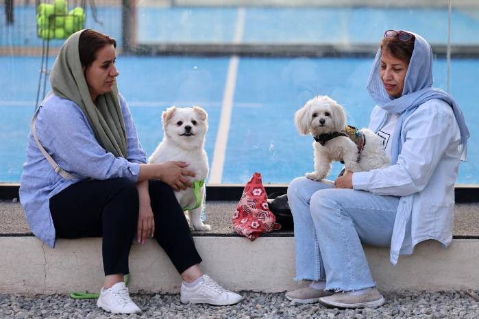 Iraníes se sientan con sus perros en un parque en Teherán el 8 de junio de 2025. Las autoridades iraníes han extendido la prohibición de pasear perros en público a varias ciudades del país, alegando motivos de salud pública, orden social y seguridad, según informaron medios locales el 8 de junio. Iraníes se sientan con sus perros en un parque en Teherán el 8 de junio de 2025. Las autoridades iraníes han extendido la prohibición de pasear perros en público a varias ciudades del país, alegando motivos de salud pública, orden social y seguridad, según informaron medios locales el 8 de junio.