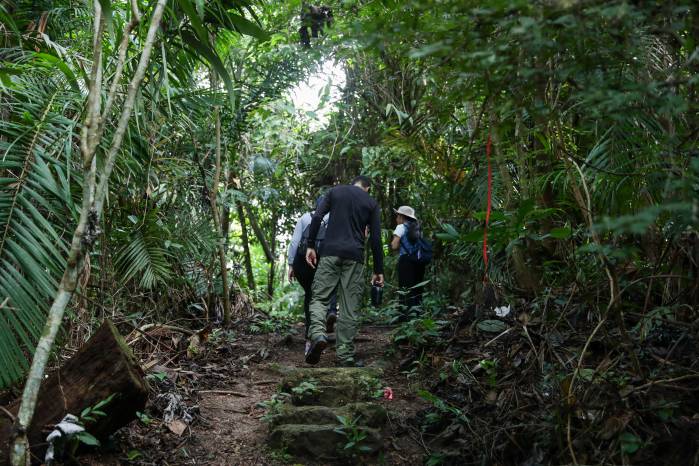 Gran parte de los bosques en Panamá son protegidos por leyes nacionales e internacionales. Gran parte de los bosques en Panamá son protegidos por leyes nacionales e internacionales.