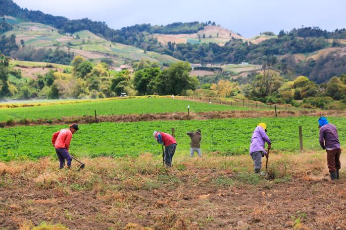 La agricultura regenerativa o alternativa posible La agricultura regenerativa o alternativa posible