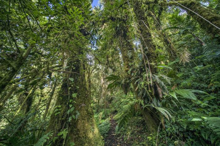 El programa busca mostrar la naturaleza desde la esperanza. El programa busca mostrar la naturaleza desde la esperanza.