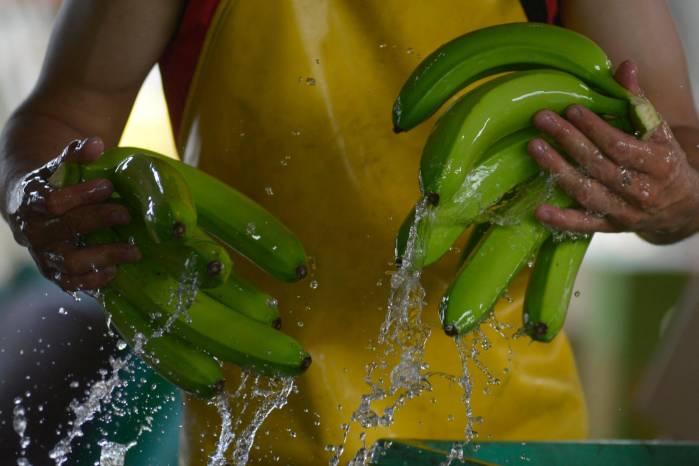 Cerca de 20 millones de personas padecen altos niveles de inseguridad alimentaria en América Latina y el Caribe Cerca de 20 millones de personas padecen altos niveles de inseguridad alimentaria en América Latina y el Caribe