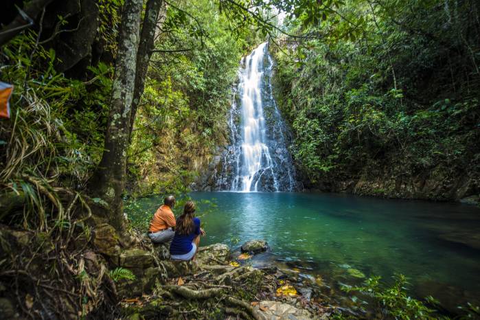 El 40% de la selva y el 30% del arrecife está bajo resguardo, junto con especies como el jaguar, el tapir y el árbol de caoba. El 40% de la selva y el 30% del arrecife está bajo resguardo, junto con especies como el jaguar, el tapir y el árbol de caoba.