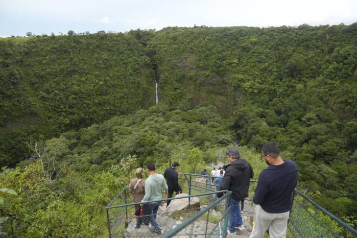 Una experiencia con café geisha que nos permite disfrutar de la naturaleza en el fondo de un cañon de más de 100 metros de profundidad. Una experiencia con café geisha que nos permite disfrutar de la naturaleza en el fondo de un cañon de más de 100 metros de profundidad.