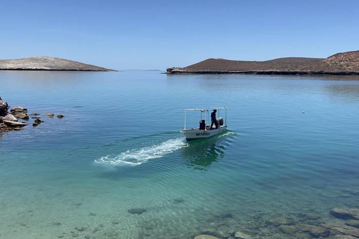 Fotografía de archivo donde se observa a ambientalistas en una playa cerca del puerto de Pichilingue, el 20 de julio de 2024, en La Paz, Baja California Sur (México). Fotografía de archivo donde se observa a ambientalistas en una playa cerca del puerto de Pichilingue, el 20 de julio de 2024, en La Paz, Baja California Sur (México).