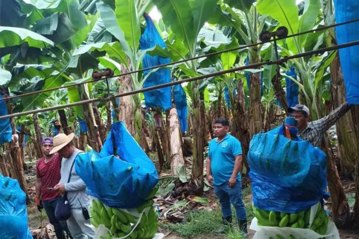 El mandatario no podría anticipar que solicitará la empresa para reabrir. El mandatario no podría anticipar que solicitará la empresa para reabrir.