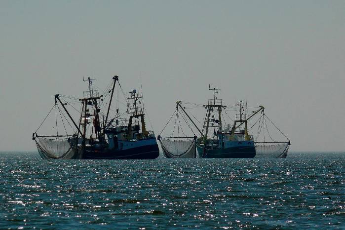 Según el estudio, la pesca es la industria oceánica con mayor actividad no pública. Según el estudio, la pesca es la industria oceánica con mayor actividad no pública.