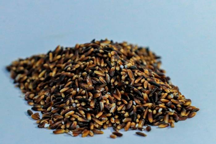 Panamá podría ser reconocido por sus múltiples variedades de arroz criollo. Panamá podría ser reconocido por sus múltiples variedades de arroz criollo.