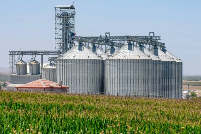 Los molinos realizan varios procesos para transformar el arroz sin moler (arroz paddy) en arroz listo para el consumo. Los molinos realizan varios procesos para transformar el arroz sin moler (arroz paddy) en arroz listo para el consumo.