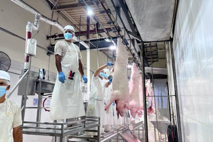 Trabajadores de la planta procesadora Ungasa. S.A. que preparan los cerdos en canal. Trabajadores de la planta procesadora Ungasa. S.A. que preparan los cerdos en canal.