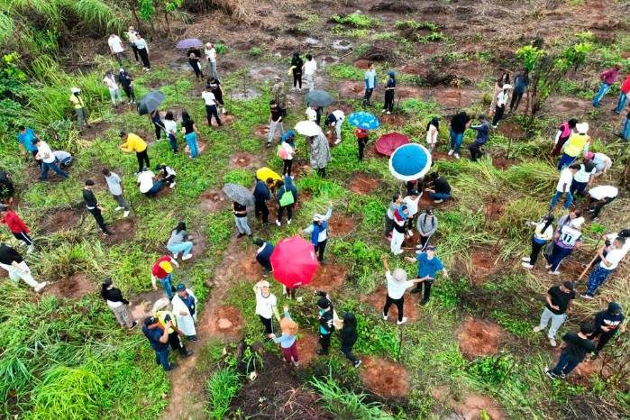 Panamá no escapa de la realidad ambiental actual, es por esto que tanto el Estado como organizaciones ambientales han intentado aminorar el daño con proyectos de restauración a lo largo del país. Panamá no escapa de la realidad ambiental actual, es por esto que tanto el Estado como organizaciones ambientales han intentado aminorar el daño con proyectos de restauración a lo largo del país.