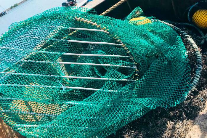 El DET se incorpora a la parrilla del cuello de la sred para facilitar la huida de la tortugas marinas y animales grandes. El DET se incorpora a la parrilla del cuello de la sred para facilitar la huida de la tortugas marinas y animales grandes.