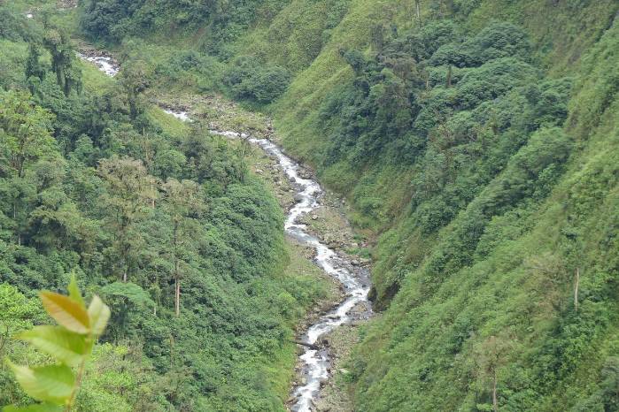 El continente tiene la mayor biodiversidad del planeta. El continente tiene la mayor biodiversidad del planeta.