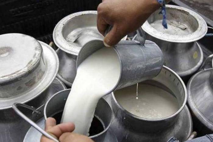 La leche grado C o industrial sirve para la producción de yogur, helado y otros derivados. La leche grado C o industrial sirve para la producción de yogur, helado y otros derivados.