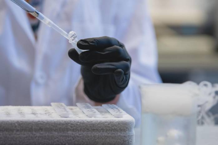 Investigadores demostraron que detener la IDO1 ayuda a restablecer el metabolismo saludable de la glucosa en los astrocitos. Investigadores demostraron que detener la IDO1 ayuda a restablecer el metabolismo saludable de la glucosa en los astrocitos.
