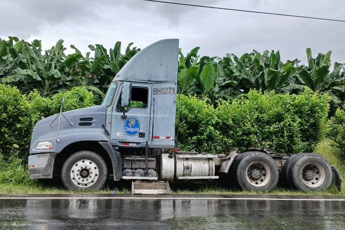 A mayo de 2025 las exportaciones de banano cayeron a un total de $52 millones, a niveles de 2021. A mayo de 2025 las exportaciones de banano cayeron a un total de $52 millones, a niveles de 2021.