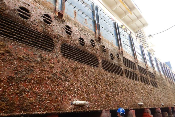 Cada barco que transita por el Canal de Panamá puede transportar miles de organismos marinos adheridos a su casco, contribuyendo a la expansión global de especies invasoras. Cada barco que transita por el Canal de Panamá puede transportar miles de organismos marinos adheridos a su casco, contribuyendo a la expansión global de especies invasoras.