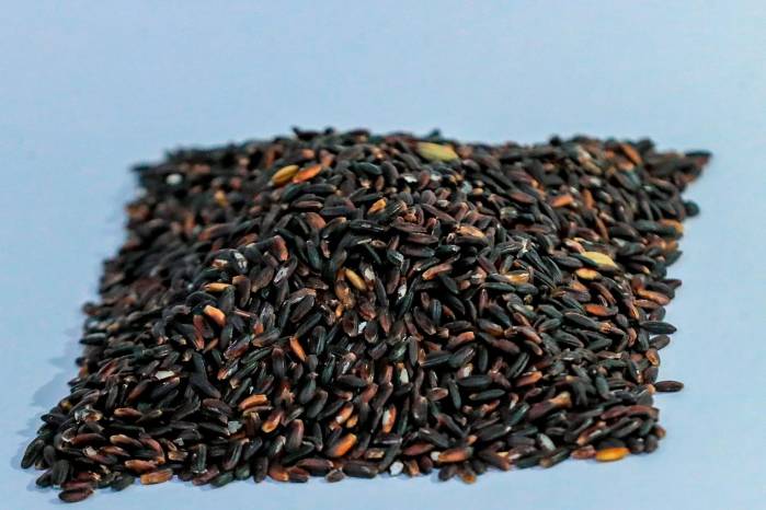 Arroz criollo, una joya desconocida Arroz criollo, una joya desconocida