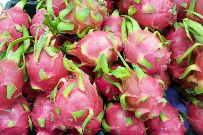 Ecuador cuenta con 8.000 hectáreas de pitahaya. Ecuador cuenta con 8.000 hectáreas de pitahaya.