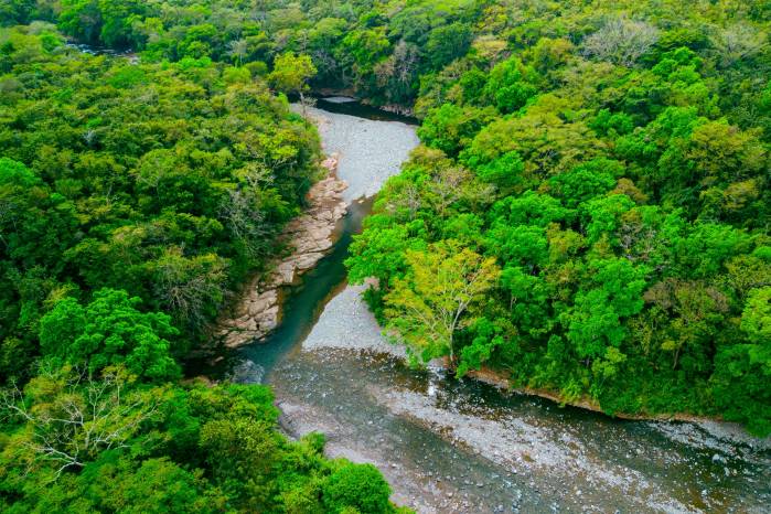 Bosques ribereños: parte integral de las cuencas hidrográficas Bosques ribereños: parte integral de las cuencas hidrográficas