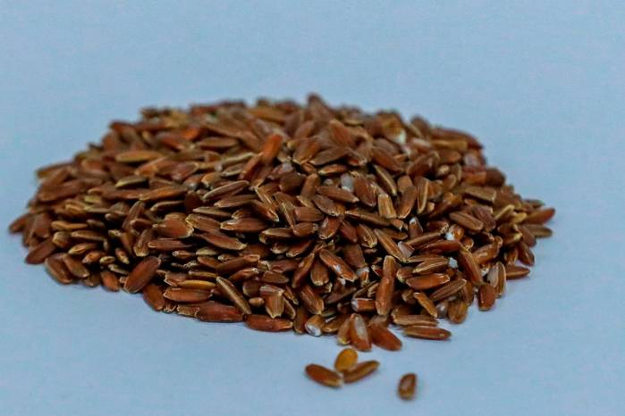 Panamá cuenta con unas 150 variedades de arroz criollo. Panamá cuenta con unas 150 variedades de arroz criollo.