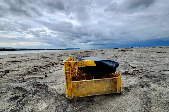El 80% de la basura marina proviene de fuentes terrestres. El 80% de la basura marina proviene de fuentes terrestres.