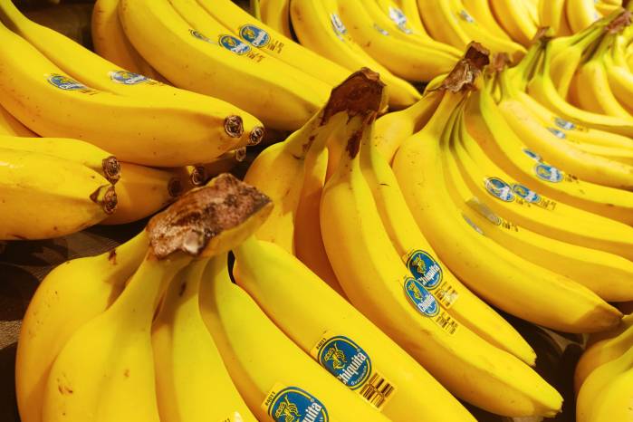 Chiquita exporta banano desde diferentes partes del mundo, a través de las fincas que tienen en la provincia de Bocas del Toro, Panamá. Chiquita exporta banano desde diferentes partes del mundo, a través de las fincas que tienen en la provincia de Bocas del Toro, Panamá.