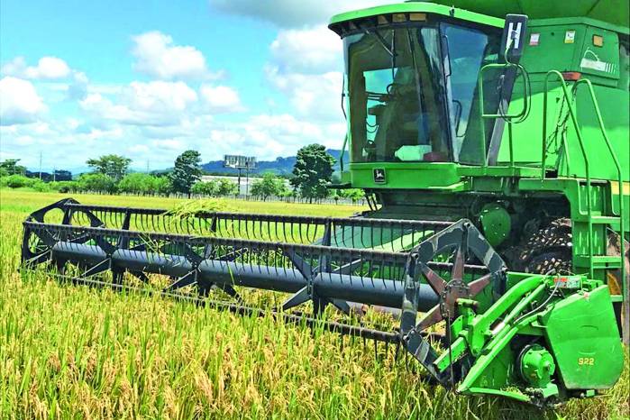 Hasta la fecha van 82.177,8 hectáreas sembradas, un 88,6% de avance en lo programado para el ciclo agrícola 2023-2024. Hasta la fecha van 82.177,8 hectáreas sembradas, un 88,6% de avance en lo programado para el ciclo agrícola 2023-2024.