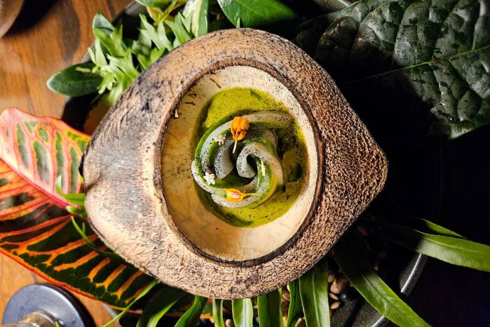 Cobia ahumada con aguacate, puré de semillas de calabaza y pipa. Cobia ahumada con aguacate, puré de semillas de calabaza y pipa.