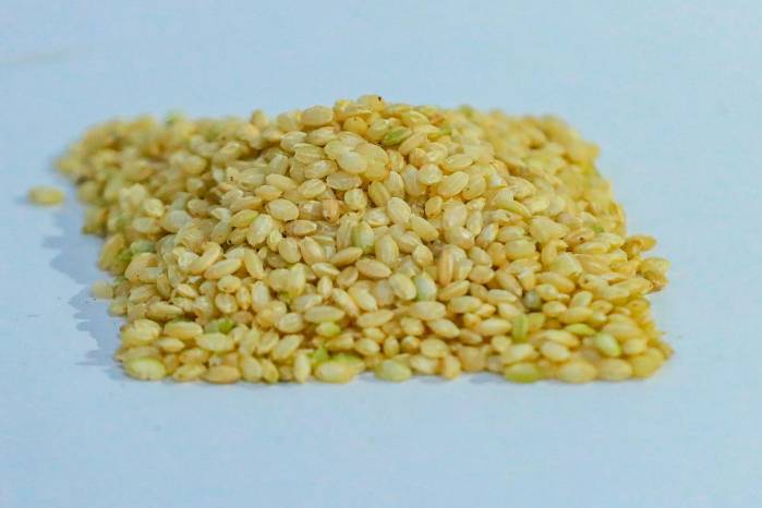 Arroz criollo, una joya desconocida Arroz criollo, una joya desconocida