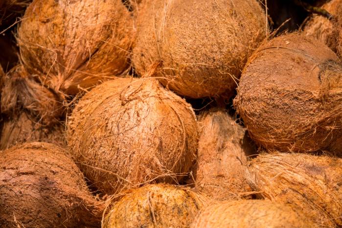 El que sube como palma, puede permanecer como coco El que sube como palma, puede permanecer como coco