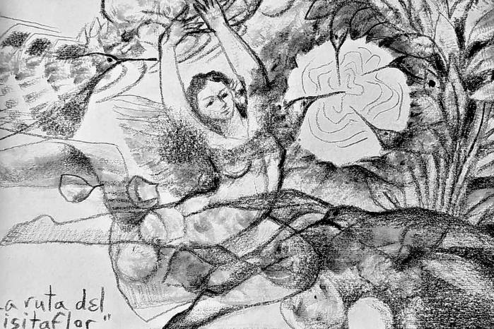La ruta del visitaflor. Carboncillo vegetal/papel. 46 x60 cm. Año: 2023 La ruta del visitaflor. Carboncillo vegetal/papel. 46 x60 cm. Año: 2023