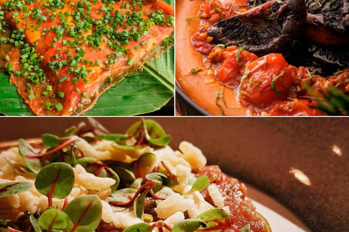 Incluir una oferta gastronómica que busca resaltar la identidad de Panamá. Incluir una oferta gastronómica que busca resaltar la identidad de Panamá.