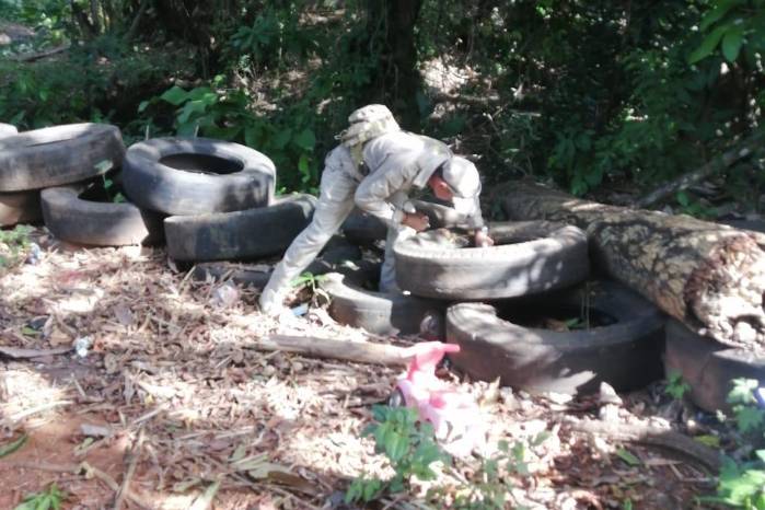 La tasa de incidencia nacional se sitúa en 116.2 casos por cada 100 mil habitantes. La tasa de incidencia nacional se sitúa en 116.2 casos por cada 100 mil habitantes.